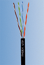 Kabel UTP Madex kat. 5e Outdoor 1mb (zewnętrzny)